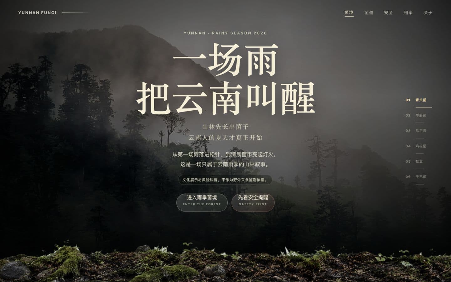 Yunnan Wild Fungi rainy-season opening